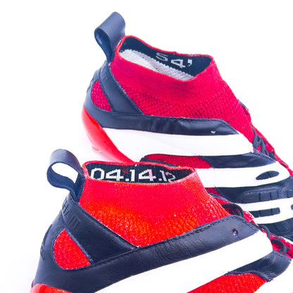 Adidas Predator Accelerator DB Capsule Custom