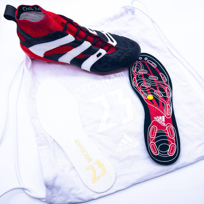 Adidas Predator Accelerator DB Capsule Custom