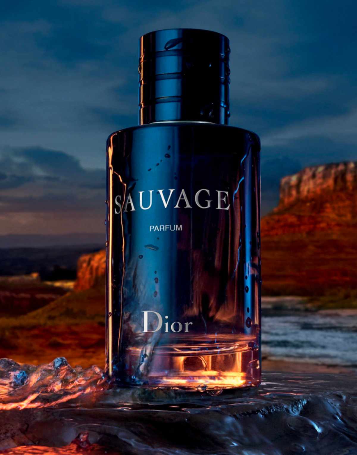 Christian Dior Sauvage Parfum 100 ML